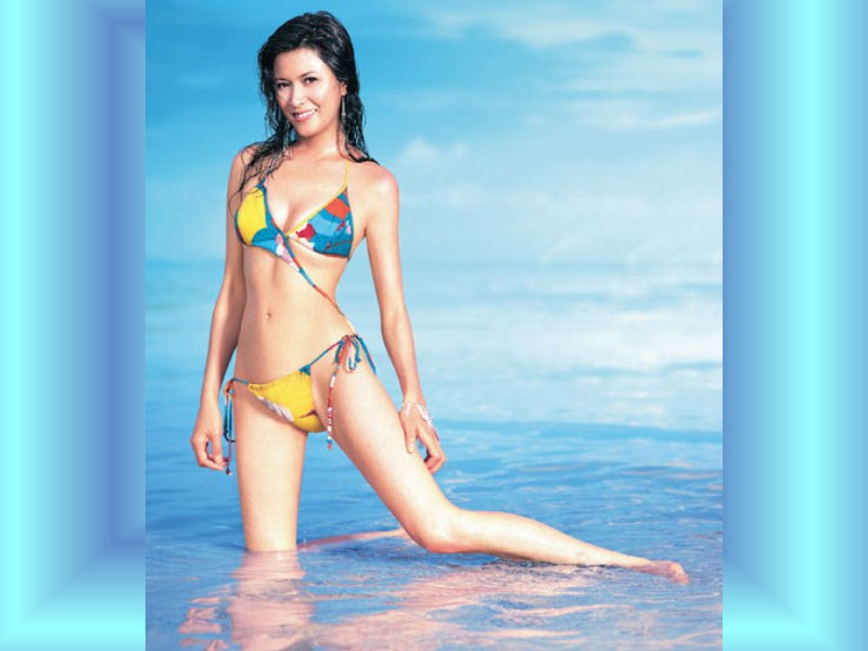 [ԭ��]�������ı�ֽ