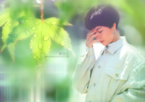 [��ͼ]�����ĵĲ��B���D�N ��3��31�ո��£�   <font color=red>     ���ѽ�����</font