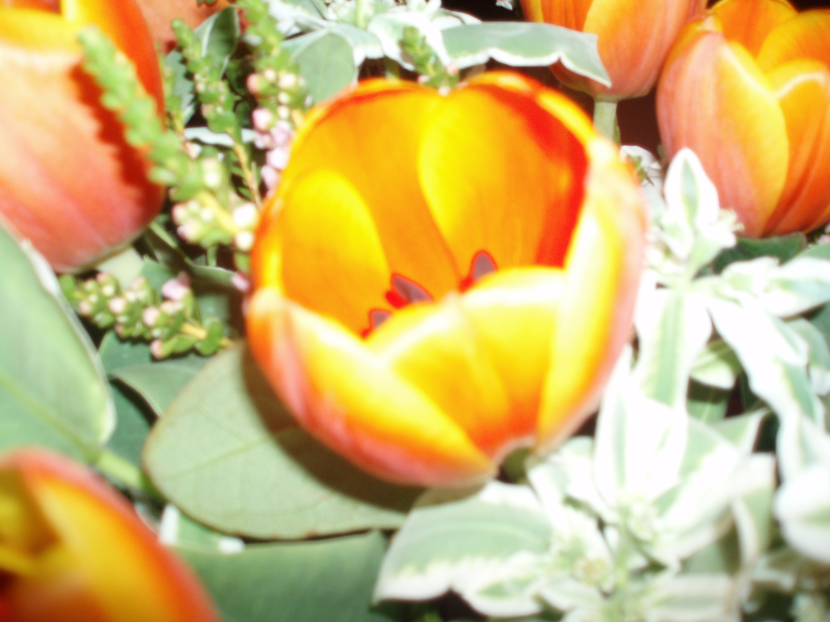 [����] �͸�Maggie���d����