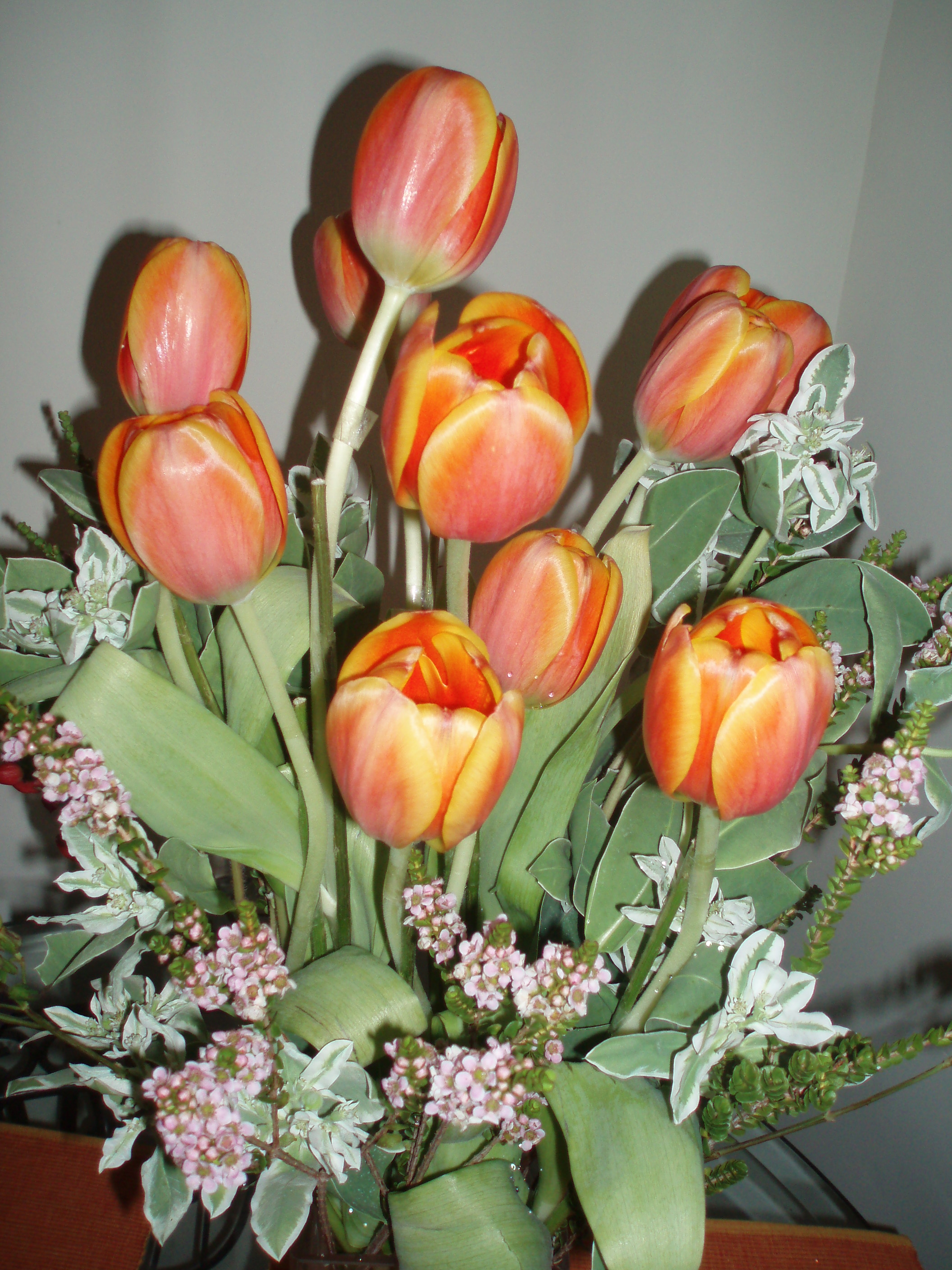 [����] �͸�Maggie���d����