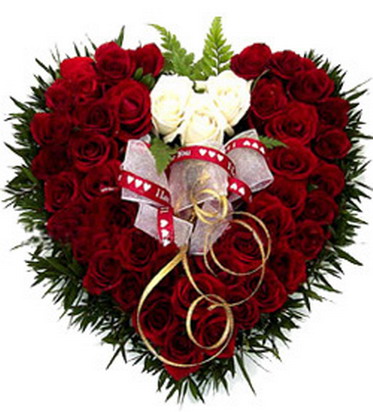 <font color=#F73809 size=4><b><u>[ף������] �װ��Ĺ���2007�����տ���&lt