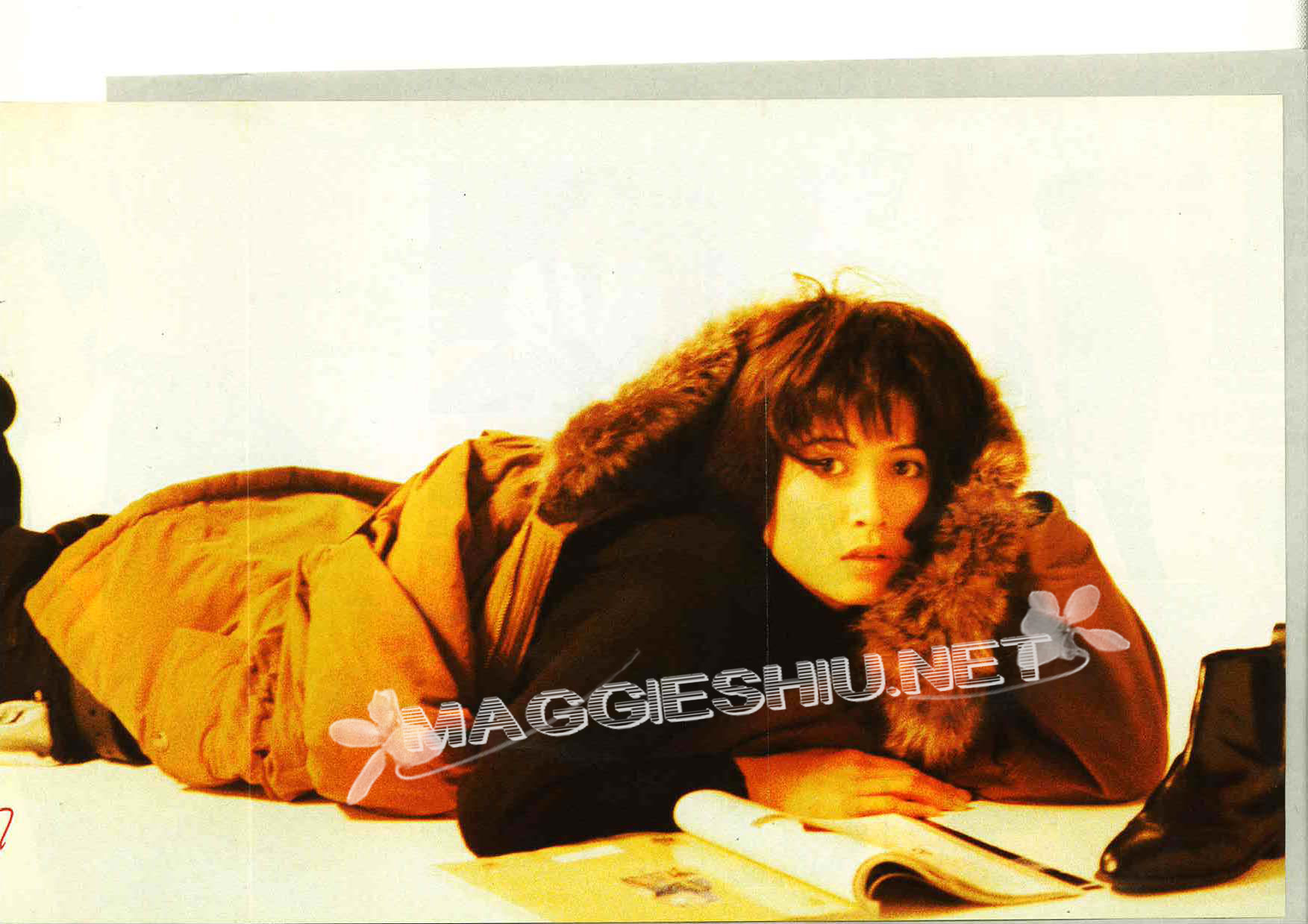 <font size=2 color=blue><u><b>Fiona�����</font></u></b&