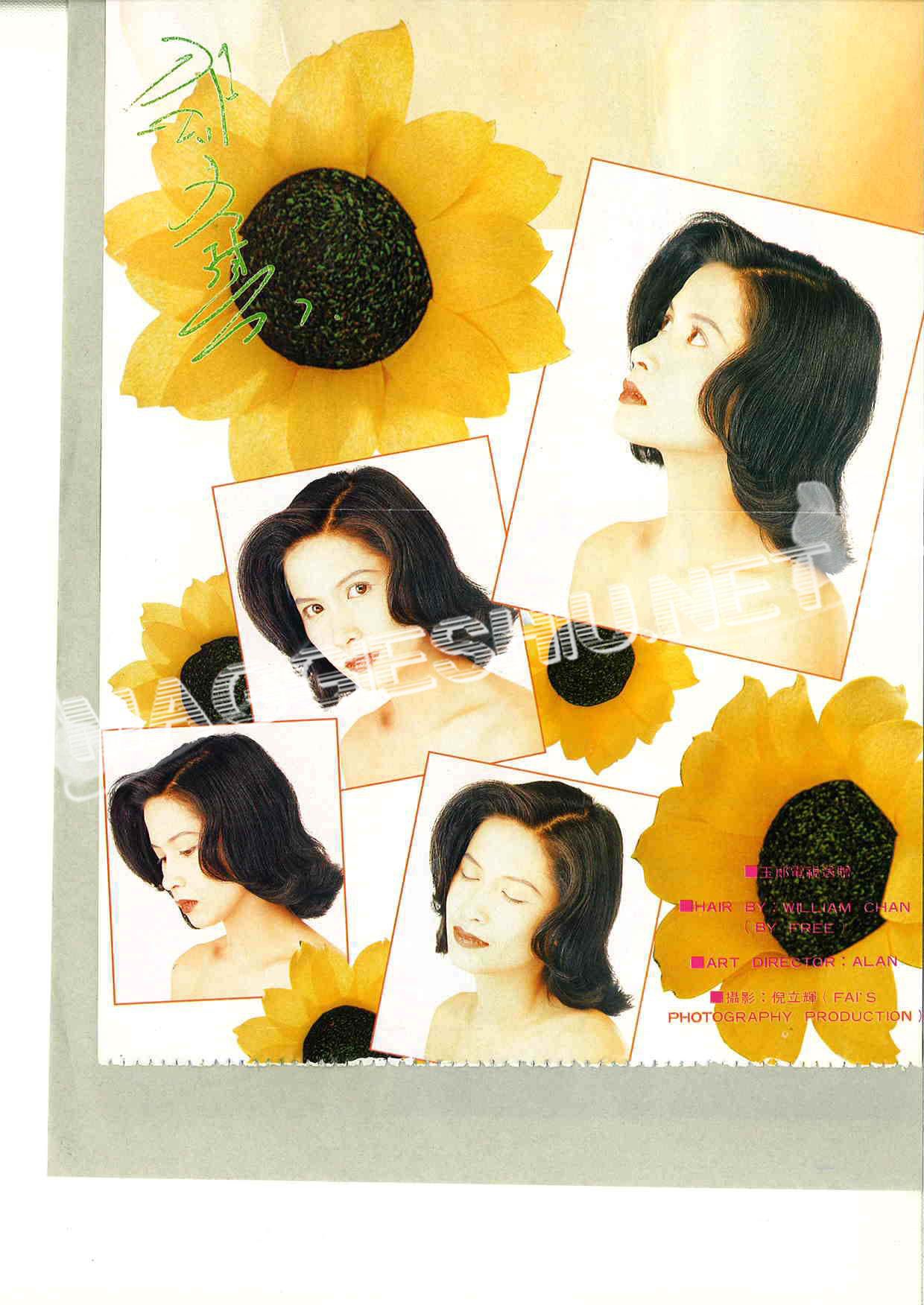 <font size=2 color=blue><u><b>Fiona�����</font></u></b&