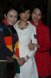 [�D��] 2007/03/07����⌚�⡷�_�R����