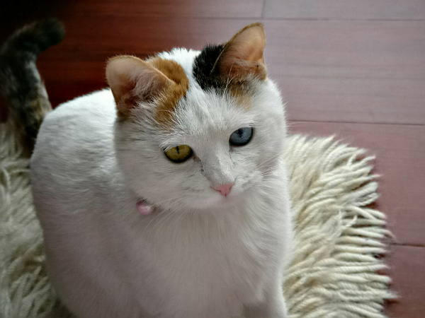 [����] �� �� ɏ